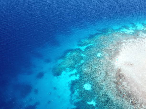 istock Uninhabited island JEEP island in Chuuk, Micronesia 1255692618