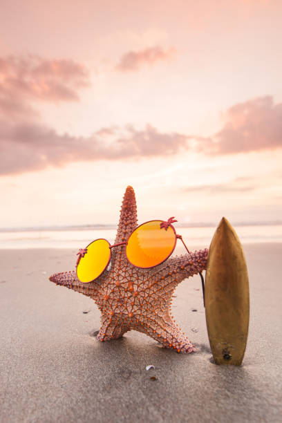 istock Starfish surfer on the beach 1255692875