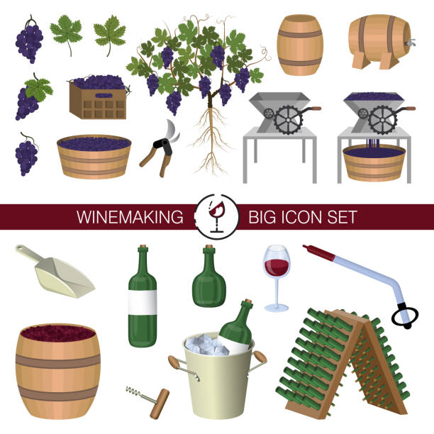 Production of wine, winemaking, winery. Big set of isolated cartoon vector icons Production of wine, winemaking, winery. Design elements: harvest, equipment, tools, containers, accessories, dishes for wine. Large set of isolated icons on white background. Vector cartoon style stubble stock illustrations