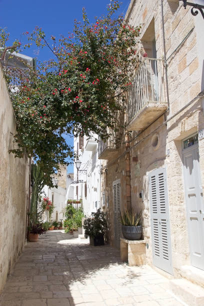 istock Polignano a mare, Apulia, Italy 1255693819