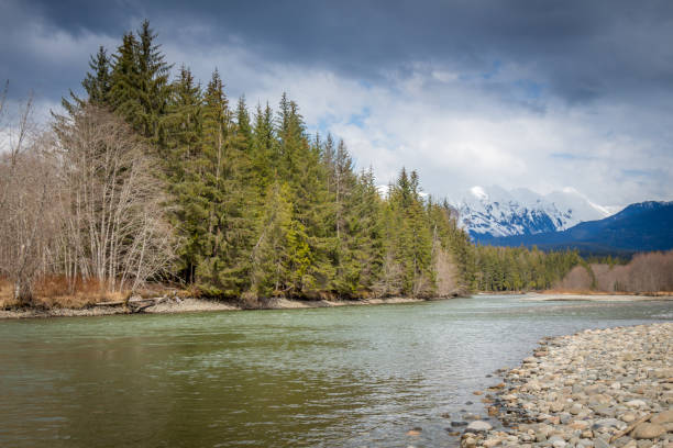 istock A deep green pool on a mountain river in the spring, British Columbia 1255696922