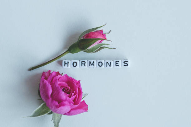 istock Hormones word cubes on a white background 1255697231