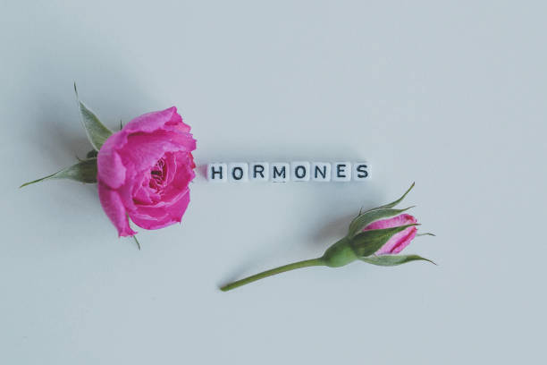 istock Hormones word cubes on a white background 1255697232