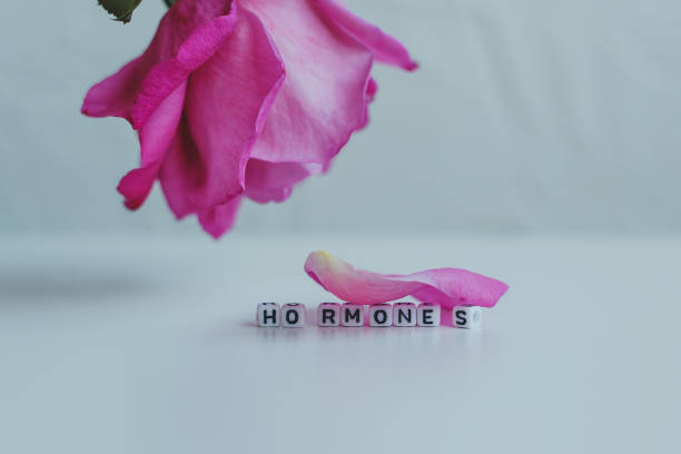 istock Hormones word cubes on a white background 1255697240