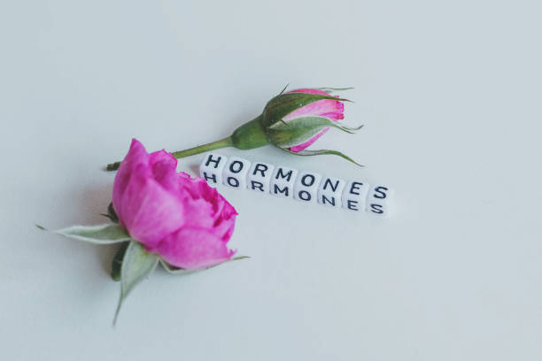 istock Hormones word cubes on a white background 1255697242