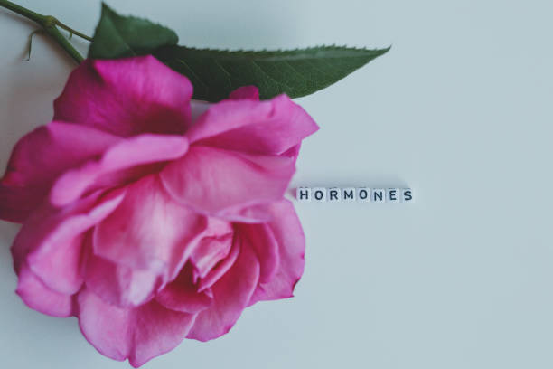 istock Hormones word cubes on a white background 1255697248