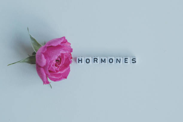 istock Hormones word cubes on a white background 1255697259