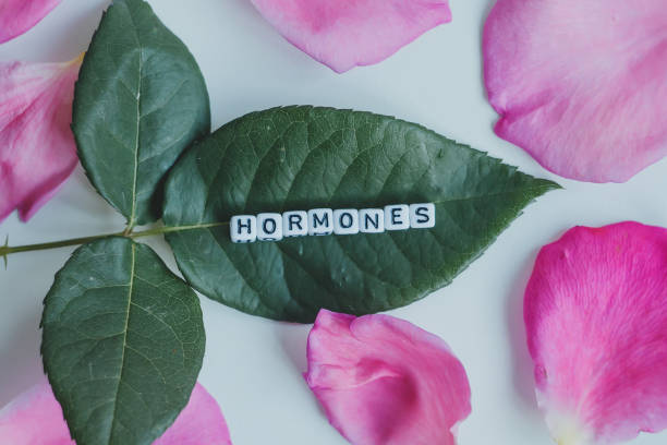 Hormones word cubes on a white background