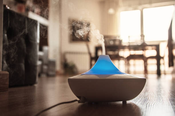 istock Small air humidifier at home 1255701249