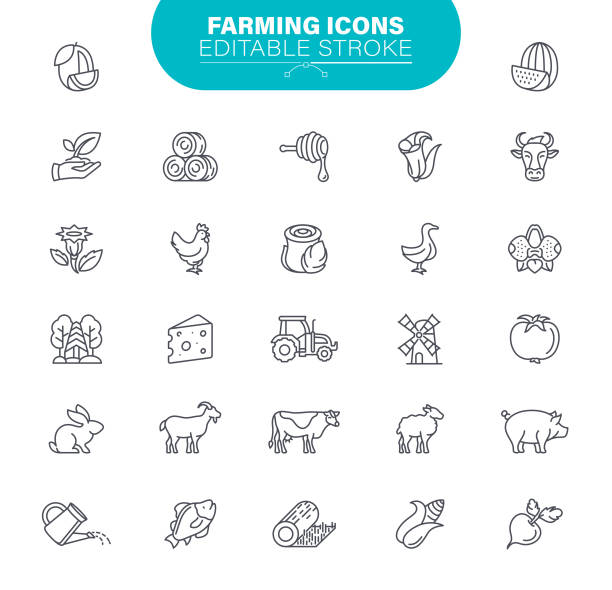 farming editable stroke icons. set enthält solche symbol landwirtschaft, feld, tier, imkerei, gerste, illustration - cereal plant illustrations stock-grafiken, -clipart, -cartoons und -symbole