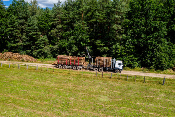 istock deforestation and logging top view. Trucks take away logs. Forest industry. 1255705184