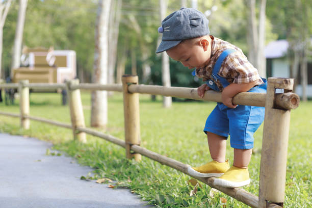 istock Asian toddler boy playing in garden 1255708782