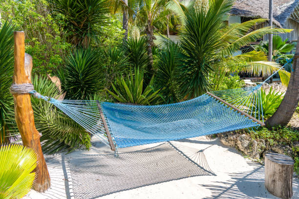 istock Hammock hanging between palm trees at the sandy beach and sea coast 1255714433