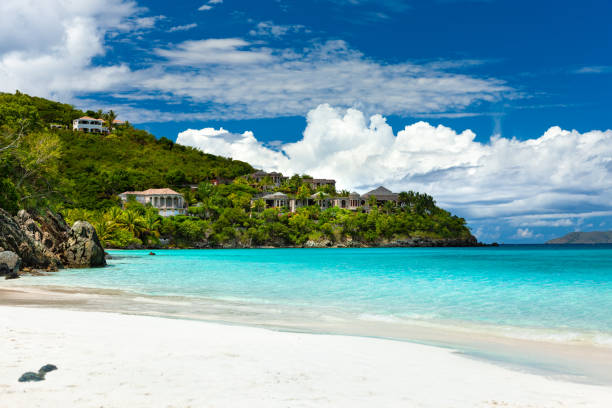istock luxury villas on a perfect beach in the caribbean 1255714520
