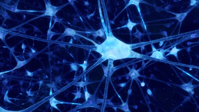 Neuronal Signals