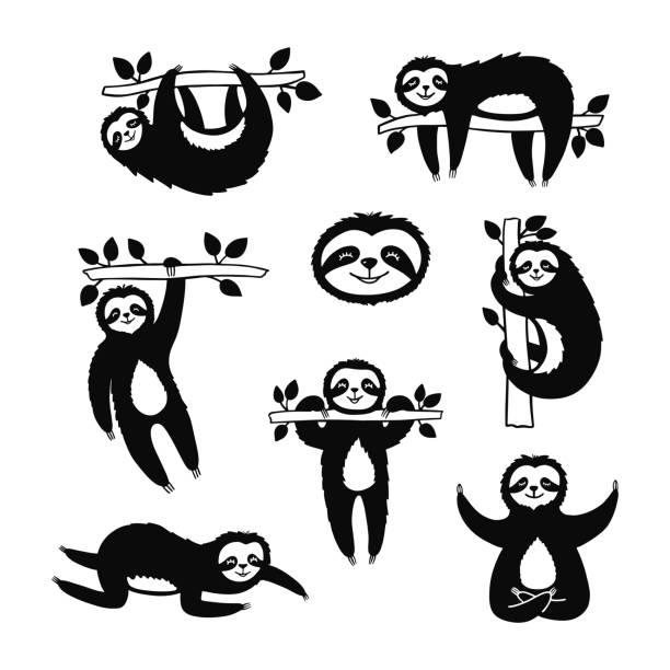 Set of doodle slothes for print design, poster, t-shirt. Cute cartoon characters. Sketch tropical animals. Set of doodle slothes for print design, poster, t-shirt. Cute cartoon characters. Sketch tropical animals. Hand drawn monochrome vector illustrations isolated on white background. sloth stock illustrations