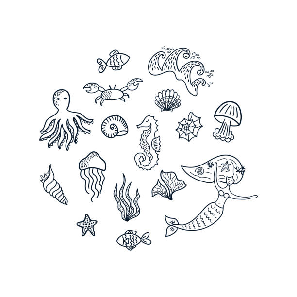Set of underwater doodle elements Set of underwater doodle elements: mermaid, seashells, starfishes, fishes, jellyfishes, octopus, seahorse, seaweed, crab, waves. Hand drawn sketch marine cartoon characters. Vector illustration. fish drawings stock illustrations