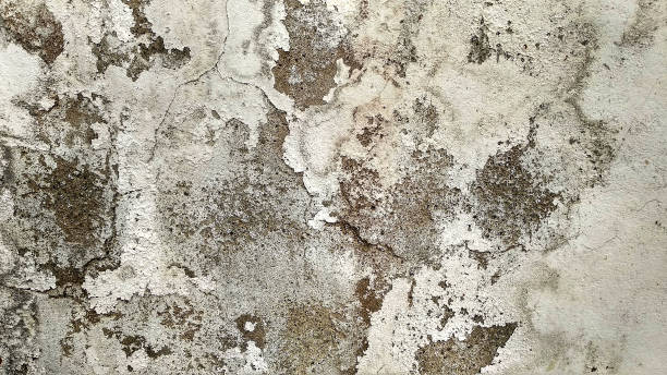 istock Background of old painted wall texture 1255716926