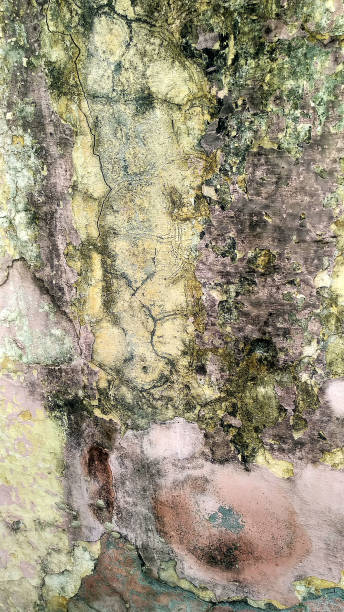 istock Background of old painted wall texture 1255716936