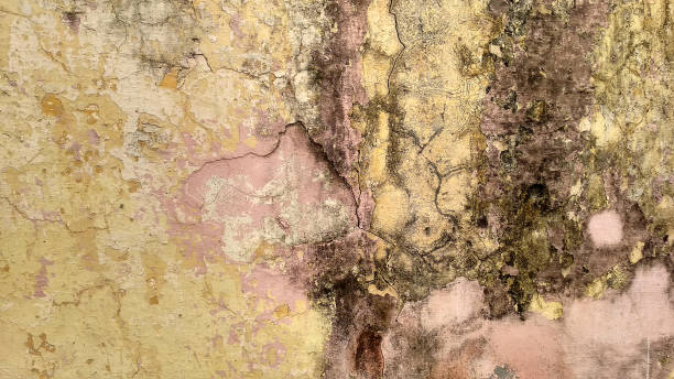 istock Background of old painted wall texture 1255716938
