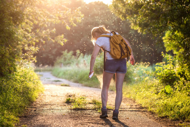 femme avec le sac à dos appliquant l’insectifuge agains moustique et tique à l’extérieur - moustique photos et images de collection