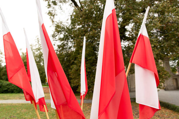 istock Red and white flags of Poland 1255717368