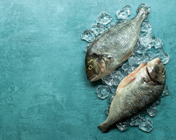 istock Two raw fresh organic dorado or sea bream on ice cubes 1255717459