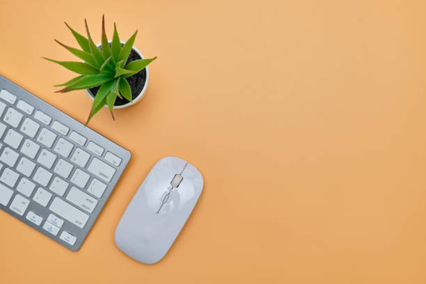 istock Top view with keyboard and mouse on an orange background with copy space. 1255718133