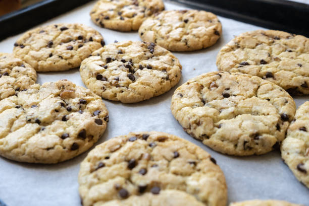 istock fresh baked classic chocolate chip cookies with nuts on the oven-tray 1255718575