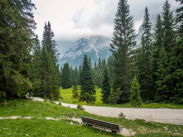 istock Hike near Ehrwald at the Tiroler Zugspitz Arena 1255722462