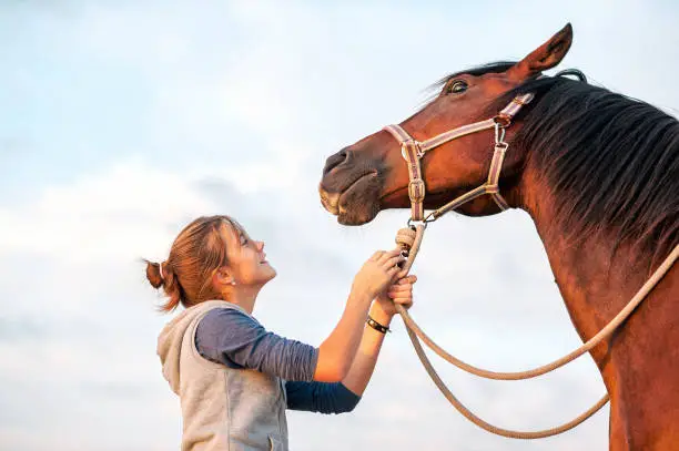 Photo of Young cheerful teenage girl calming big brown horse. Outdoors image.