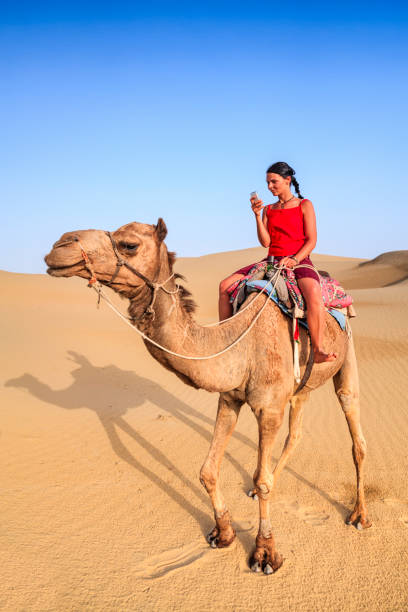 istock Young female tourist using mobile on a camel, Rajasthan, India 1255724189