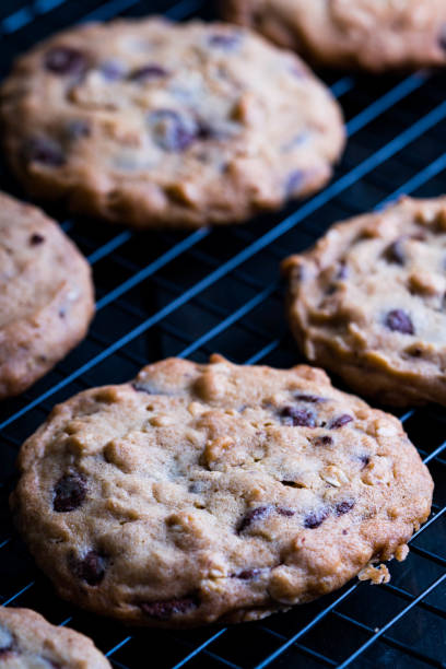 istock chewy and bittersweet chocolate oatmeal cookie 1255727558