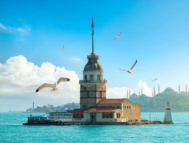istock Seagulls near Maiden Tower 1255728277