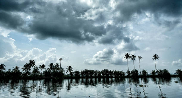 istock Backwaters of Alleppey in Kerala. India. 1255730968