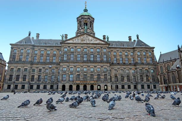 stadt landschaftlich von amsterdam auf dem dam-platz mit tauben statt touristen während der corona-krise in den niederlanden - waterdam stock-fotos und bilder