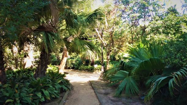 istock Lush green public park in Cadiz, Spain 1255732177