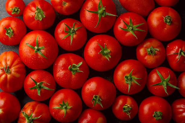 istock Fresh juicy raw organic tomatoes on a dark background. Selective focus. Top view. Copy space. 1255732234