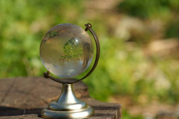 A small glass globe in the forest.