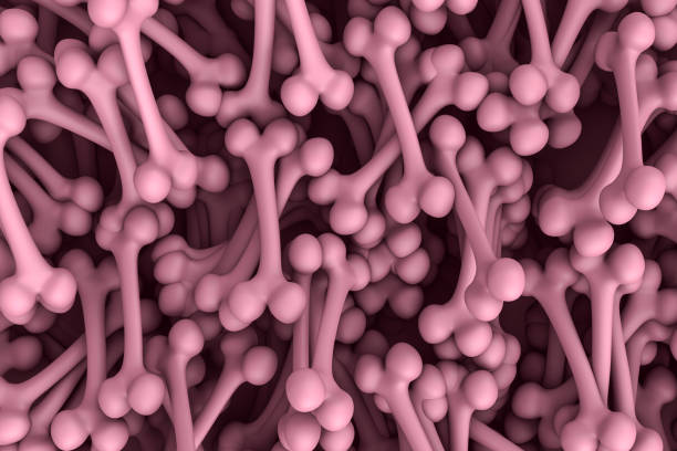 istock 3d rendering of pink bones for dog on pink background. 1255733533