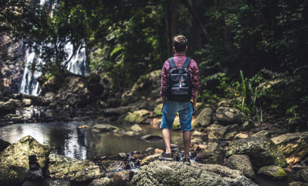 istock Hiking activities in the forest 1255733650