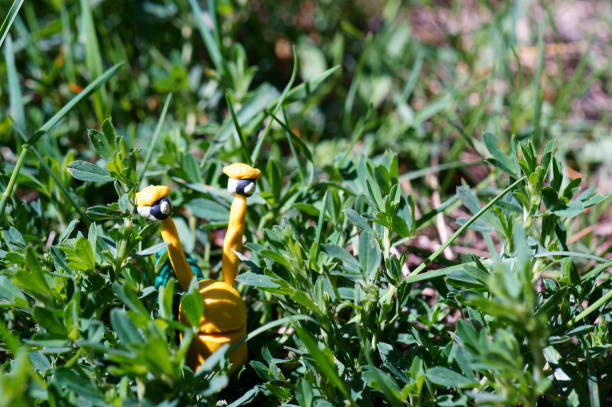 Snail figurine made of plasticine in a natural area. Background image. Symbol of summer. Figures of insects.