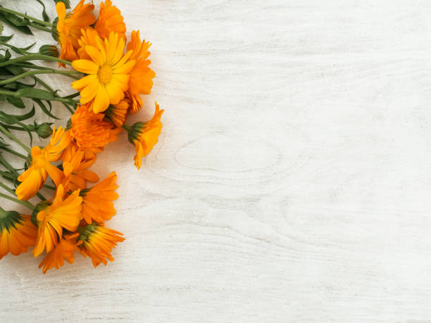 istock Beautiful wildflowers lying on a wooden table 1255734629