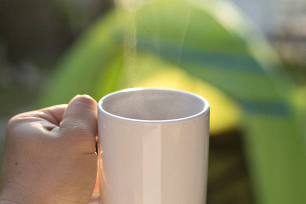 istock Close-Up Of Hand Holding Coffee Cup By Tent 1255735744