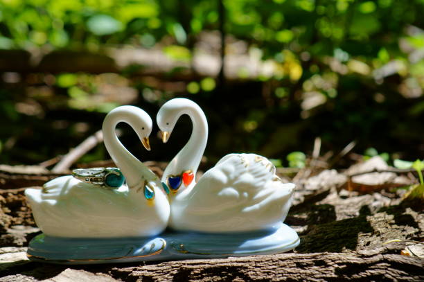 istock A pair of souvenir swans in nature. 1255735831