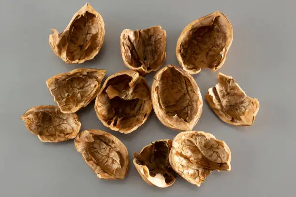 Texture, empty shell from a walnut.