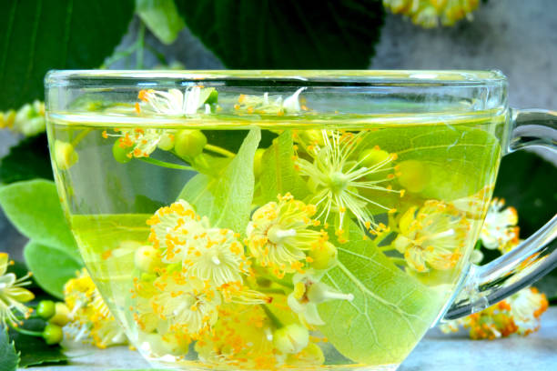 istock Linden and linden tea. 1255738181
