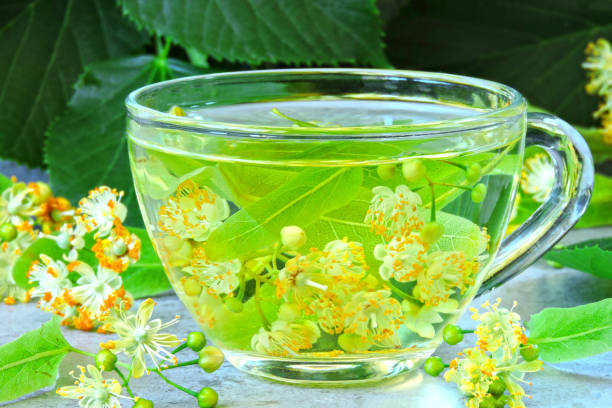 istock Linden and linden tea. 1255738183