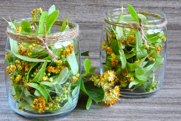 istock Linden flowers in a glass jar. 1255739211
