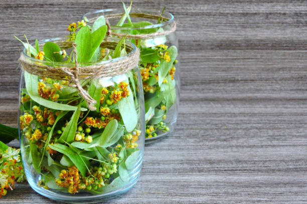 istock Harvesting of linden tea. 1255739409